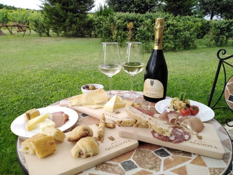 Montepulciano: Winery Tour, Tasting, and Vineyard Picnic - Pricing and Policies