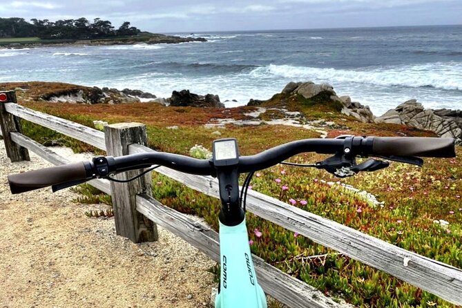 Monterey 17-Mile Drive Electric Bike Guided Tour - Tour Highlights and Activities