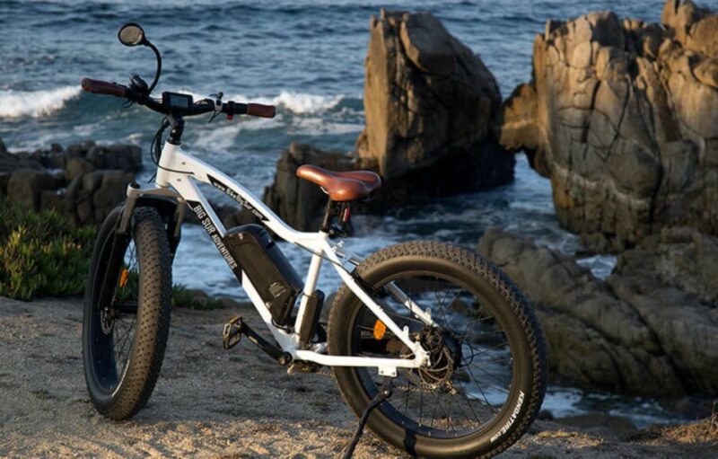 Monterey: 17-Mile Drive Guided E-Bike Tour - Experience Highlights
