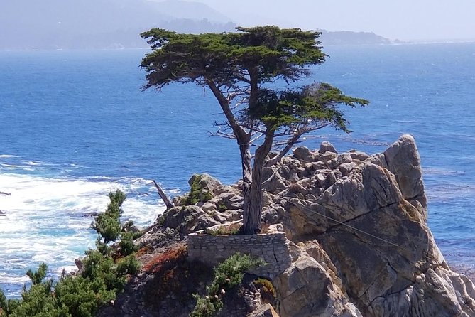Monterey, 17-Mile Drive, Pebble Beach, & Carmel Private Tour - Key Points