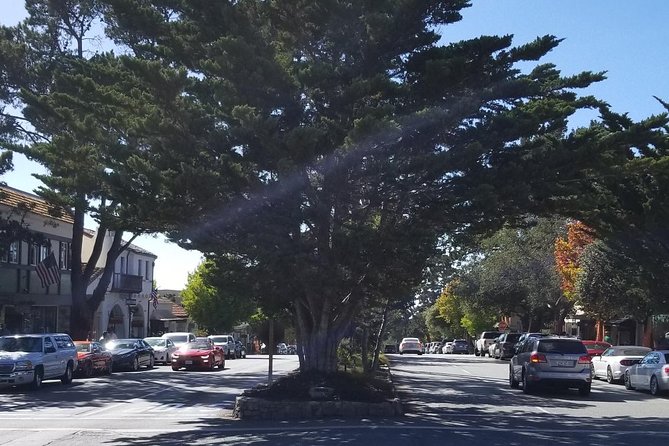 Monterey, 17-Mile Drive, Pebble Beach, & Carmel Private Tour - Tour Policies and Accessibility