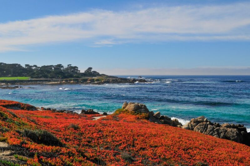 Monterey and Big Sur Discovery: Private Tour From San Jose - Iconic Views at Bixby Creek Bridge