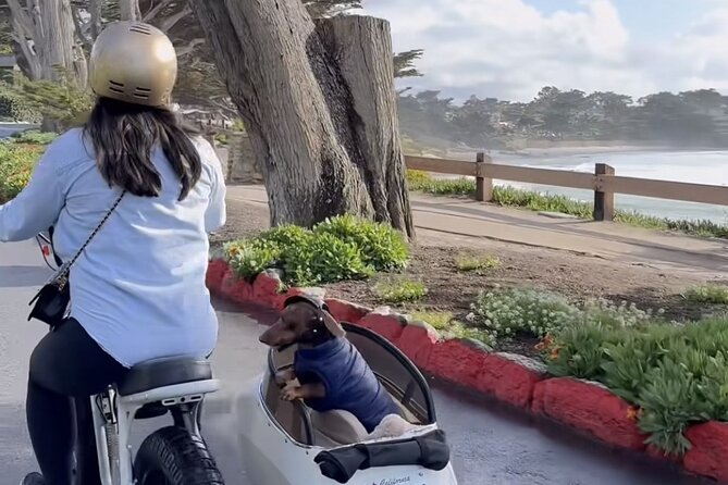 Monterey Bay Famous Dog Friendly Electric Bike and Sidecar Tour - Dog Requirements and Safety