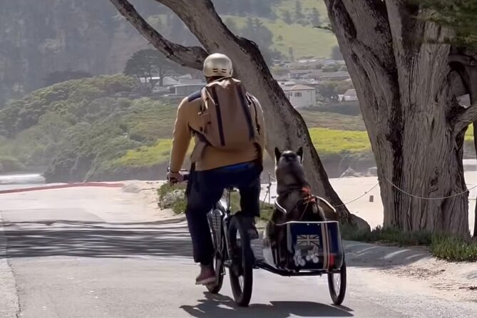 Monterey Bay Famous Dog Friendly Electric Bike and Sidecar Tour - Exploring Monterey Bay and Carmel-By-The-Sea