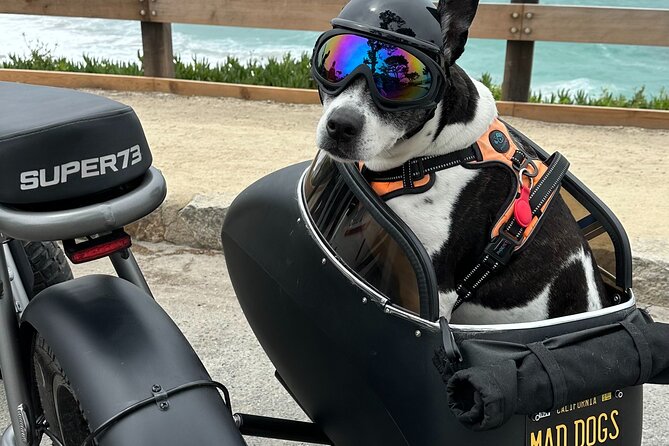 Monterey Bay Famous Dog Friendly Electric Bike and Sidecar Tour - Enjoying the Ride With Your Furry Companion