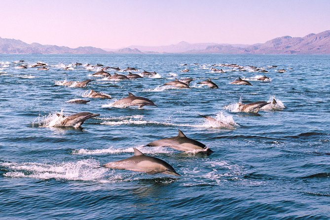 Monterey Bay Whale Watching - Recommended and Prohibited Travelers