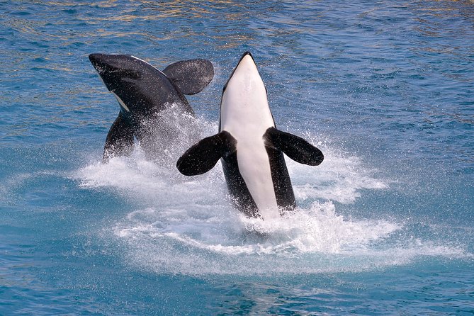 Monterey Bay Whale Watching - Refund and Cancellation Policy