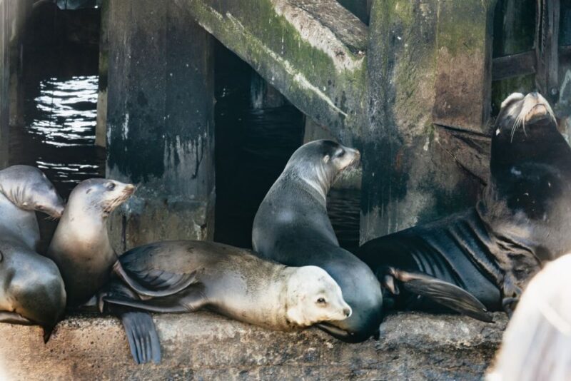 Monterey Bay: Whale Watching Tour - Meeting and Parking
