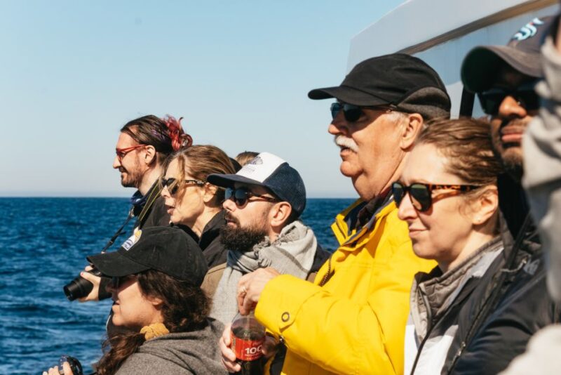 Monterey Bay: Whale Watching Tour - Important Guidelines