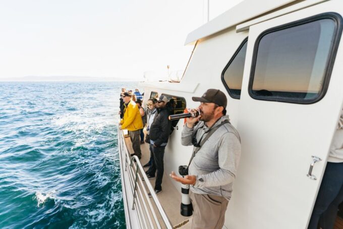 Monterey Bay: Whale Watching Tour - Customer Ratings