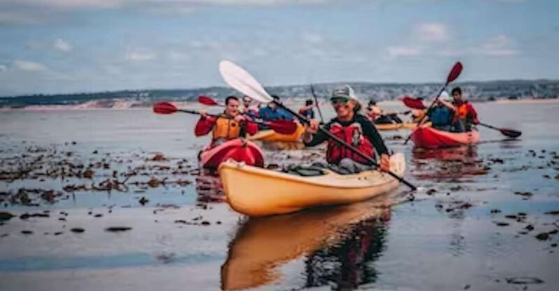 Monterey: Cannery Row Kayak Tour - Pricing and Reservations