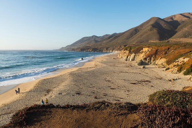 Monterey, Carmel, 17 Mile Drive, Bixby Bridge 5 Hrs From Monterey - Customer Reviews and Experiences