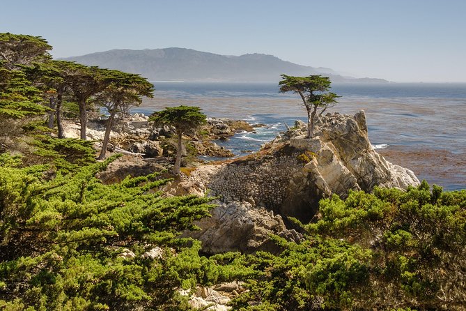 Monterey, Carmel and 17-Mile Drive: Full Day Tour From SF - Transportation Included