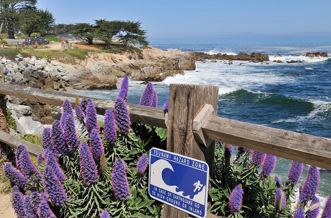Monterey, Carmel and 17-Mile Drive: Full Day Tour From SF - Traveler Reviews