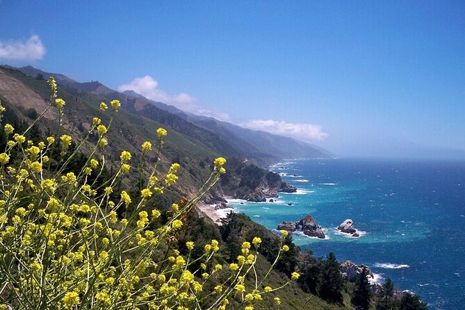 Monterey Carmel Big Sur Pebble Beach by Luxury Vehicle 6 Hrs~ - Reviews and Feedback