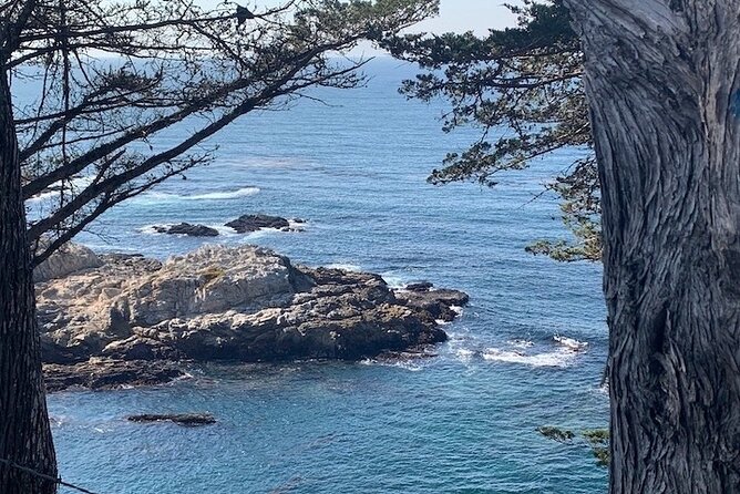 Monterey Carmel Big Sur Pebble Beach by Luxury Vehicle 6 Hrs~ - Pickup and Meeting Details