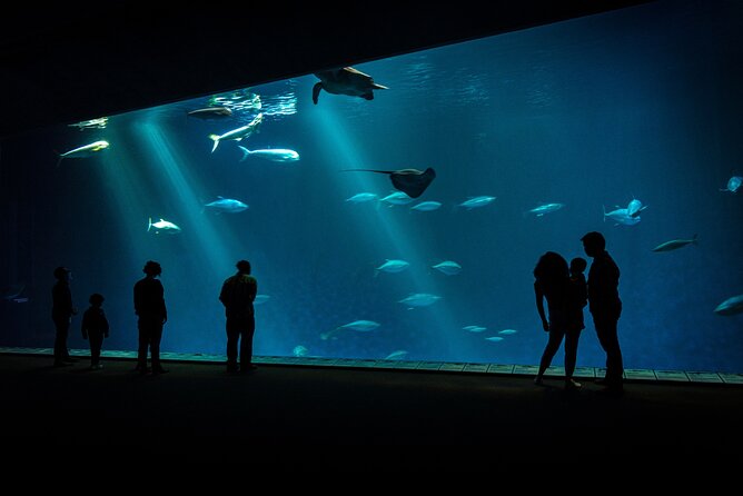 Monterey: Ocean Paradise, Trolley and Walking Tour - Exploring Monterey by Trolley
