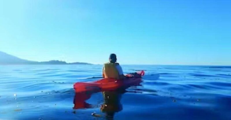 Monterey: Pebble Beach Kayak Tour - Activity Highlights