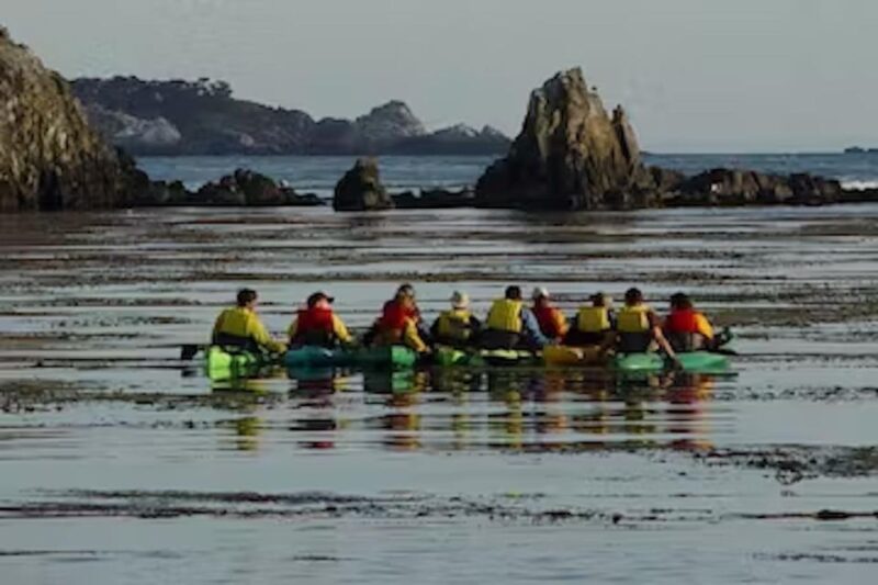Monterey: Pebble Beach Kayak Tour - Inclusions