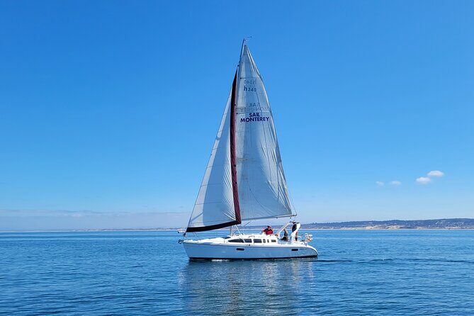 Monterey Private 3 - 4 Hour Whale Watching Cruise - Key Points