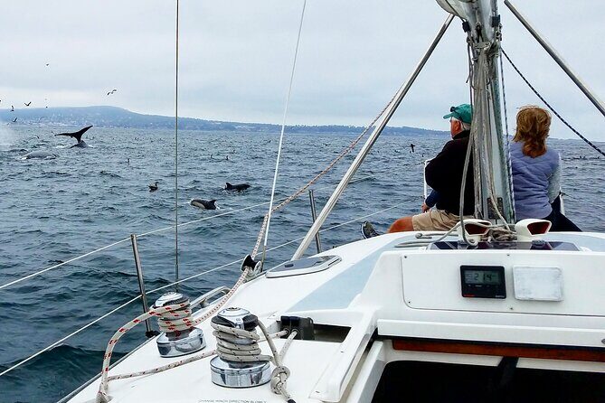Monterey Private 3 - 4 Hour Whale Watching Cruise - Who Should Book This Tour?