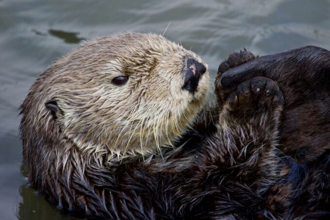 Monterey: Whale Watching Cruise - Booking and Cancellation Policy