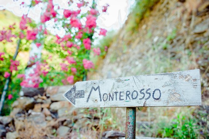 Monterosso and Portofino Shore Excursion From Genova Port - Tour Inclusions