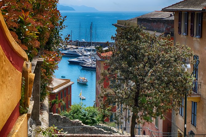 Monterosso and Portofino Shore Excursion From La Spezia - Cancellation and Medical Conditions