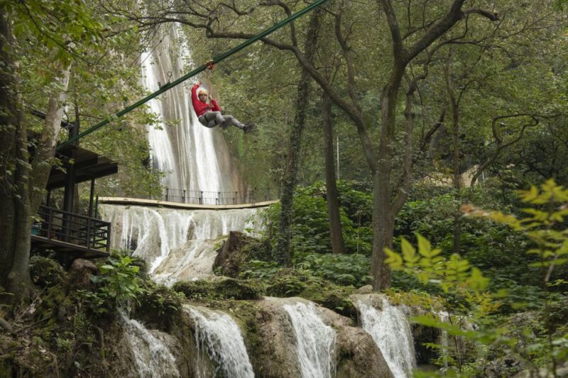 Monterrey, Nl: IBO Roller Zip in Horse Tail - Experience Overview