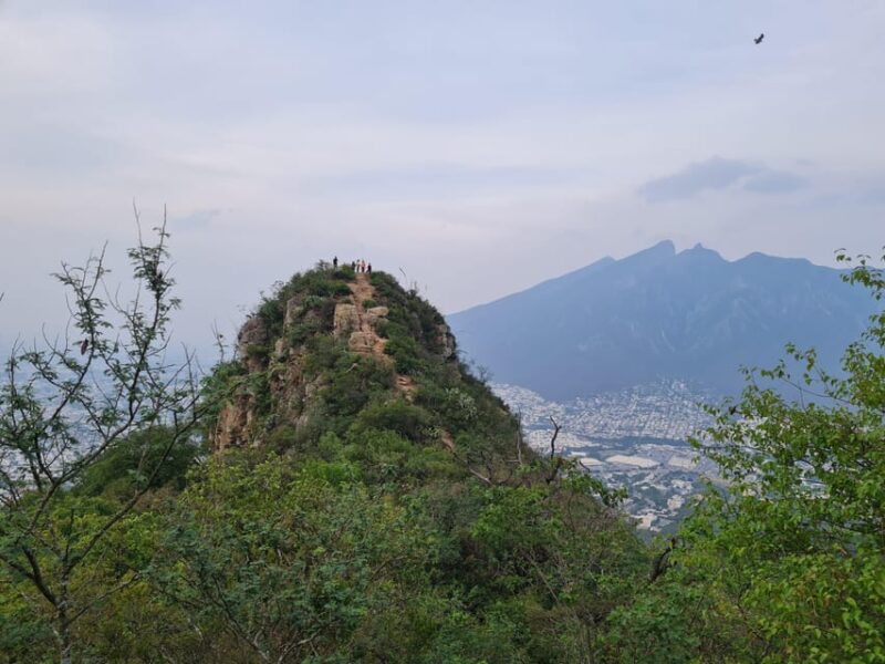 Monterrey: Pet-Friendly Hiking in Cerro Del Chupón - Transportation and Pickup
