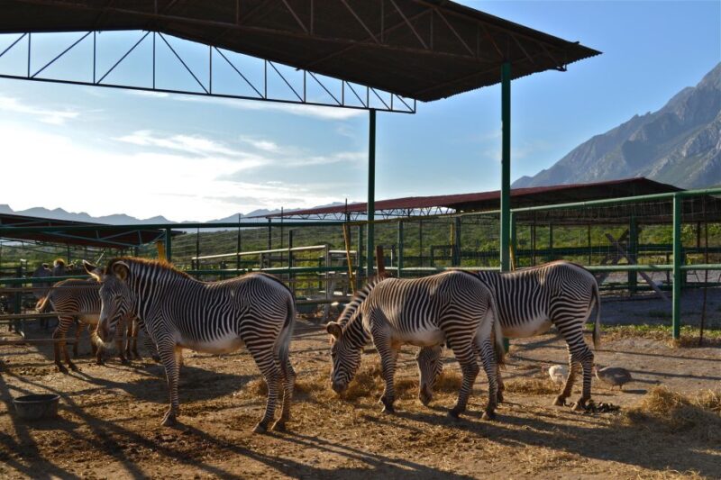 Monterrey: Zoological Adventure at Xenpal - Recommendations and What to Bring