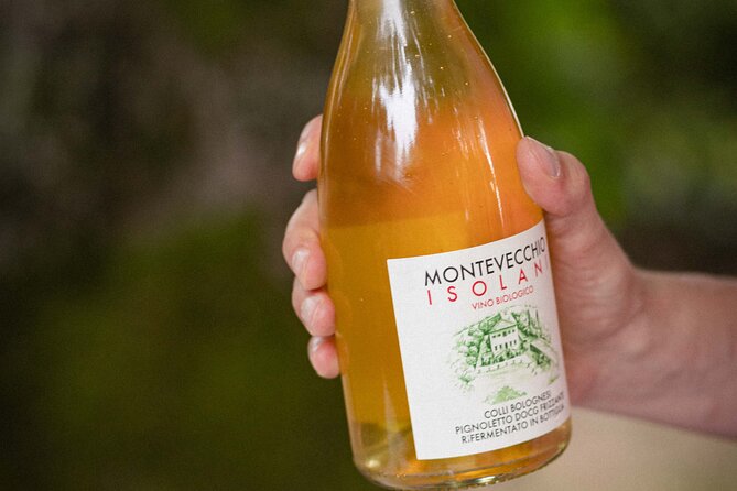 Montevecchio Isolani Wine Tasting Experience - Accessibility and Accommodations