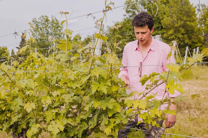 Montevecchio Isolani Wine Tasting Experience - Important Details and Policies