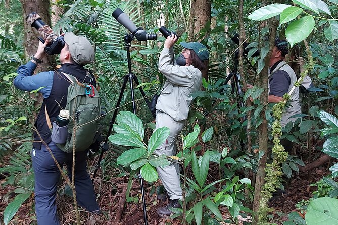 Monteverde Birdwatching Experience - Meeting and Logistics