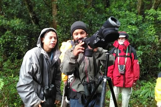 Monteverde Birdwatching Experience - Highlights of the Tour