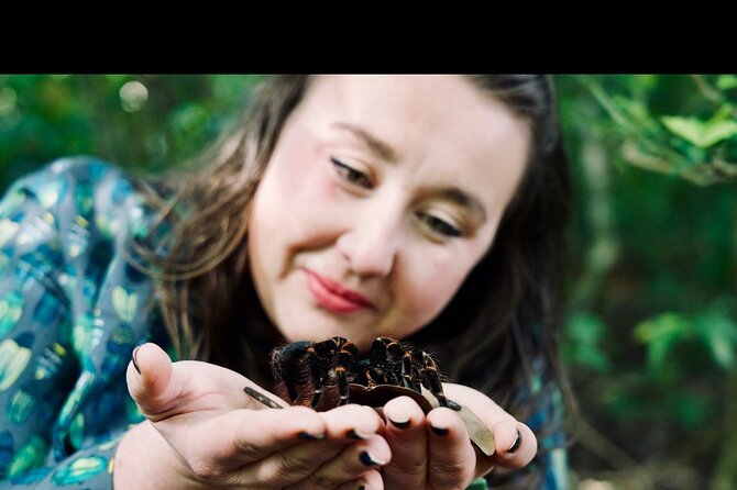 Monteverde Butterfly Gardens Tour - Accessibility and Schedule Information