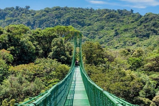 Monteverde Cloud Forest and Hanging Bridges in Selvatura Tour From San Jose - Included Amenities