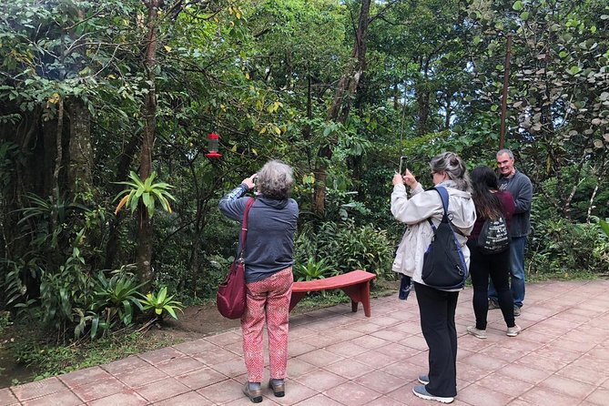 Monteverde Cloud Forest Authentic Experience - Upper Mountains