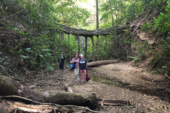 Monteverde Cloud Forest Authentic Experience - CASEM Cooperative
