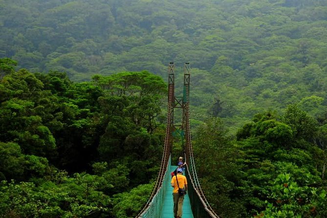 Monteverde Cloud Forest Hanging Bridges - Suspension Bridges of Monteverde