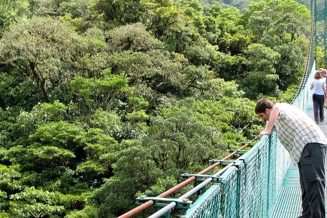 Monteverde Cloud Forest Hanging Bridges - Guided Tour Experience and Logistics