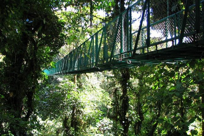 Monteverde Cloud Forest Hanging Bridges - Safety and Accessibility Considerations