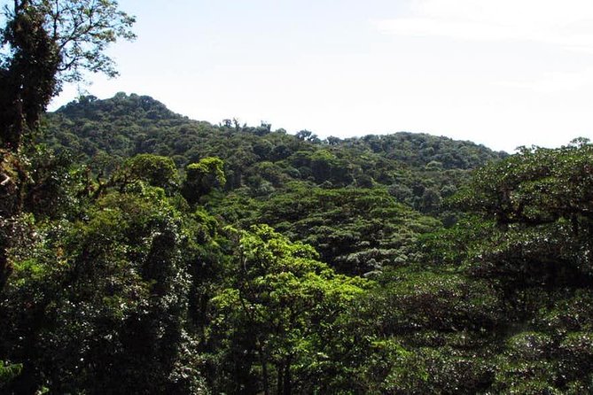 Monteverde Cloud Forest Hanging Bridges - Booking and Cancellation Policy