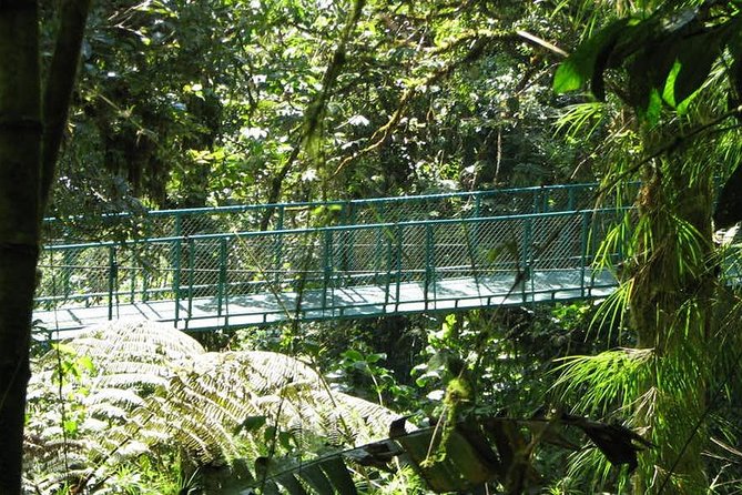 Monteverde Cloud Forest Hanging Bridges - About Faro Travel Costa Rica
