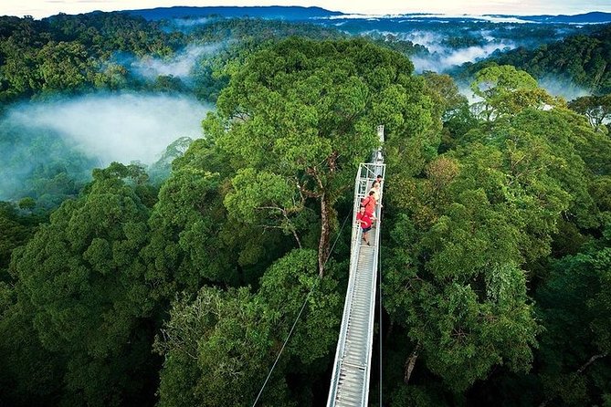 Monteverde Cloud Forest Hike and Hanging Bridges Tour From Guanacaste - Key Points