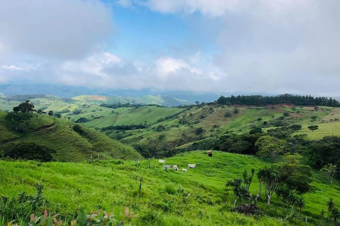Monteverde Cloud Forest Horseback Riding - Inclusions