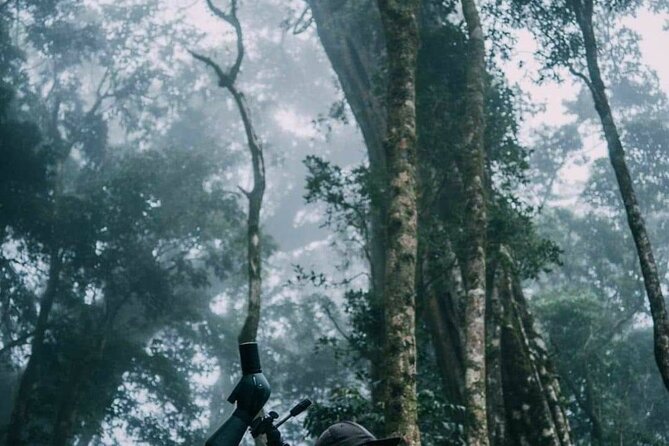 Monteverde Cloud Forest Nature Tour - Wildlife Sightings