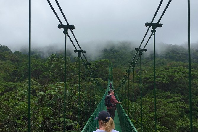 Monteverde Cloud Forest Private Tour - Overview and Highlights