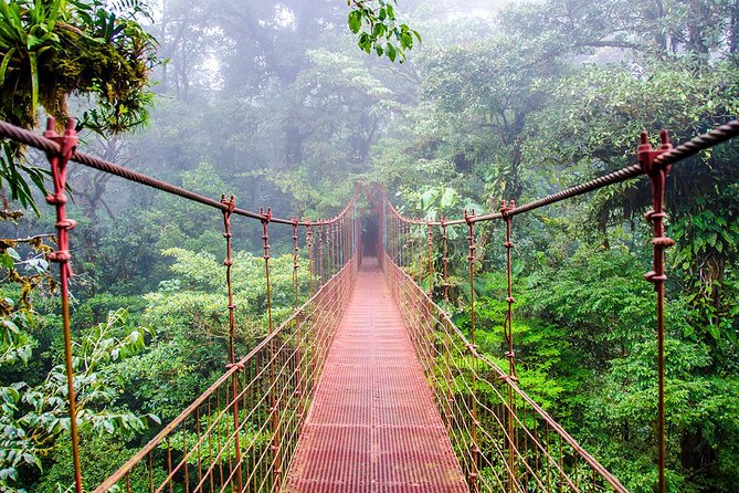 Monteverde Cloud Forest Reserve Guided Walk - Booking and Pricing Details