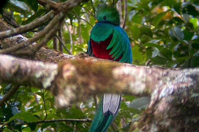 Monteverde Cloud Forest Tour - Pricing and Cancellation Policy